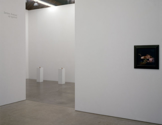 Janine Antoni Up Against