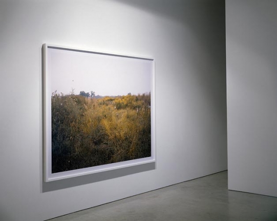 Joel Sternfeld Oxbow Archive
