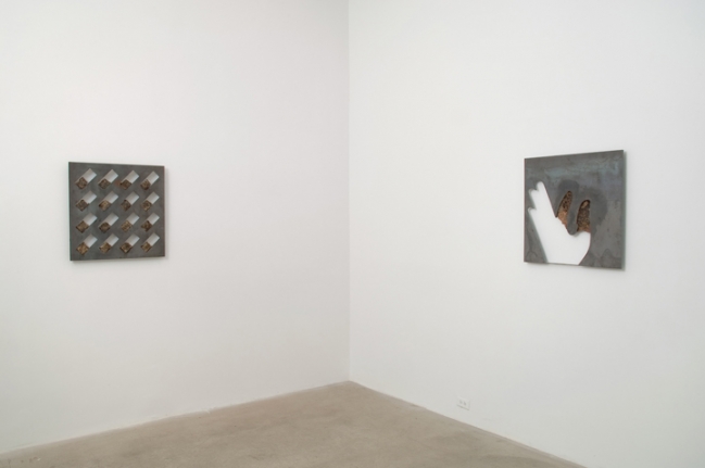 Roger Hiorns Installation view