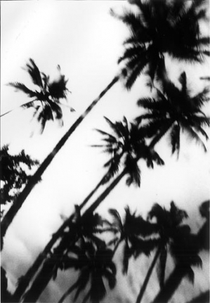 Daido Moriyama Hawaii, 2007