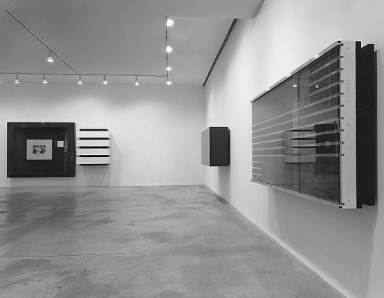 Reinhard Mucha Collected-Recollected