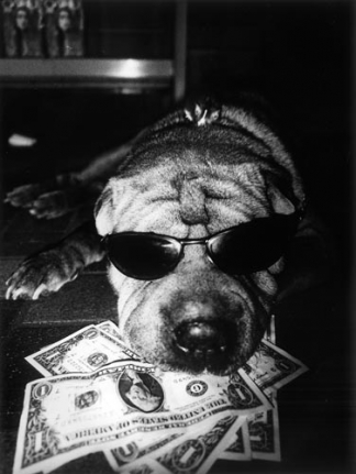 Daido Moriyama Hawaii, 2007/2008