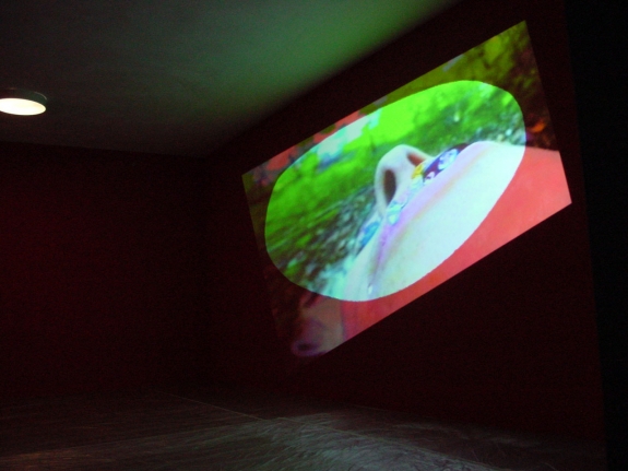 Pipilotti Rist, Blauer Leibesbrief (Blue Bodily Letter), 1992/98