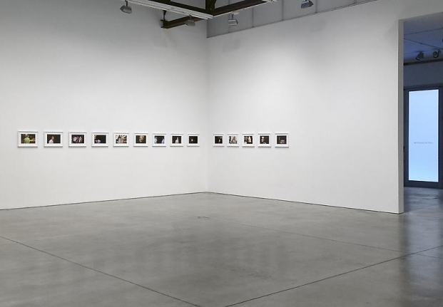 Joel Sternfeld, First Pictures