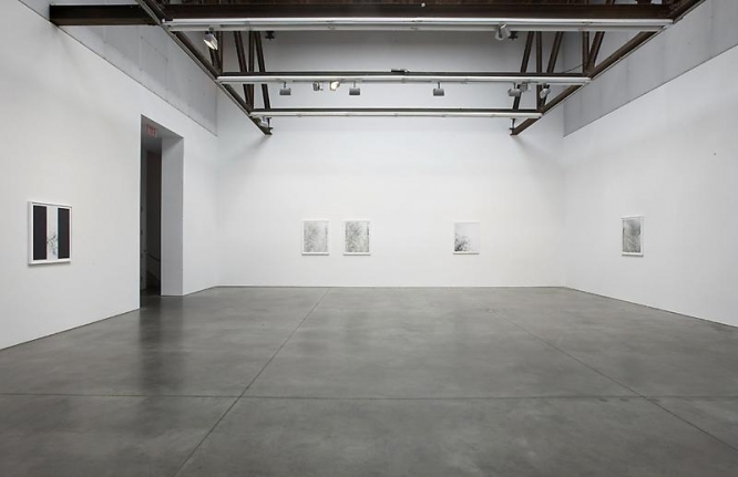 Luisa Lambri Certain Variables