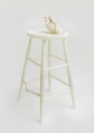 Janine Antoni to return, 2014