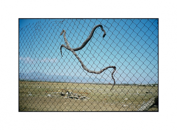 Miguel Calderón, Falconer's Code #2, 2017