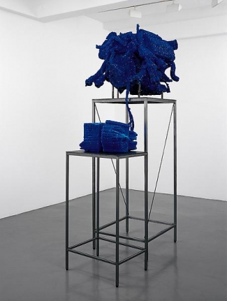 Roger Hiorns⨠The Birth of The Architect, 2003