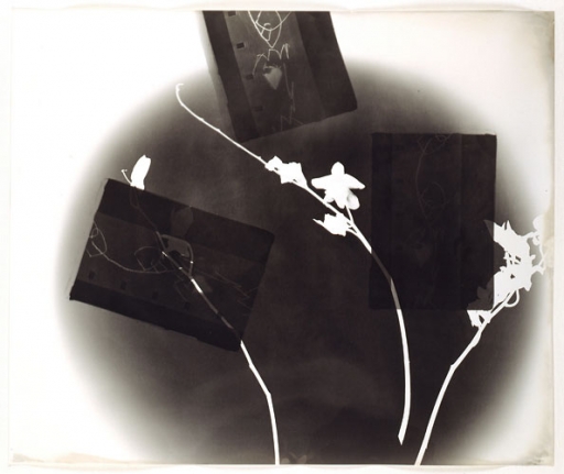 Amy Granat Interflowerzone (Hello Cowgirl) #5, 2007