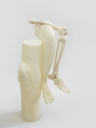 Janine Antoni to compose, 2015
