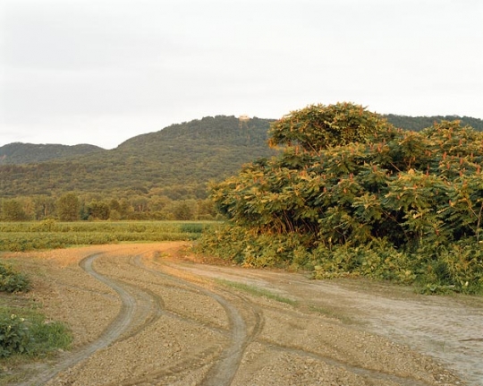 Joel Sternfeld July 29, 2005, The East Meadows, Northampton, Massachusetts