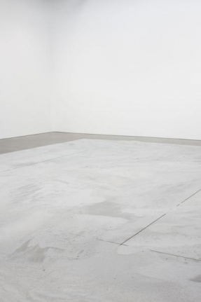 Roger Hiorns Untitled, 2014