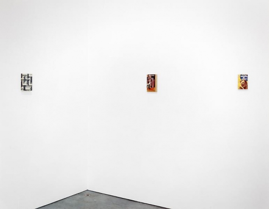Steve Wolfe Installation view