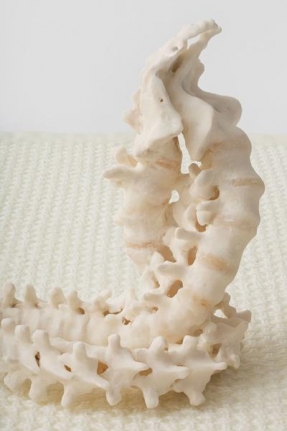 Janine Antoni to twine, 2014