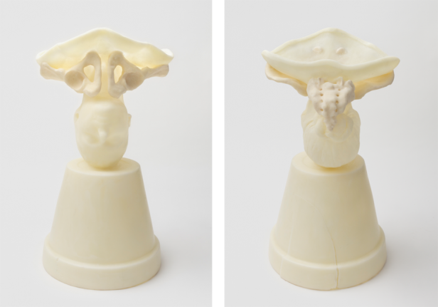 Janine Antoni to channel, 2015