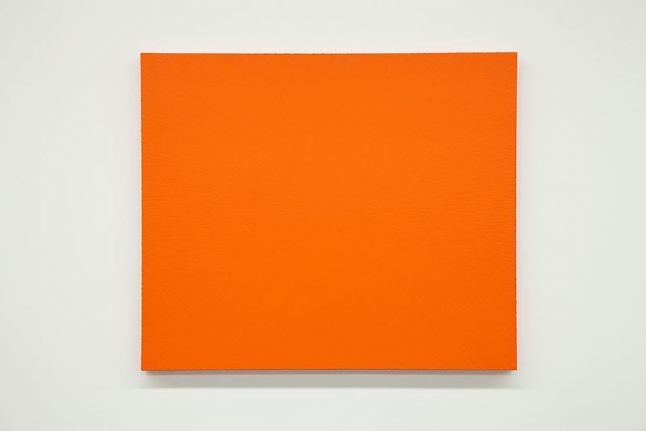 Tom Friedman Bloom, 2014