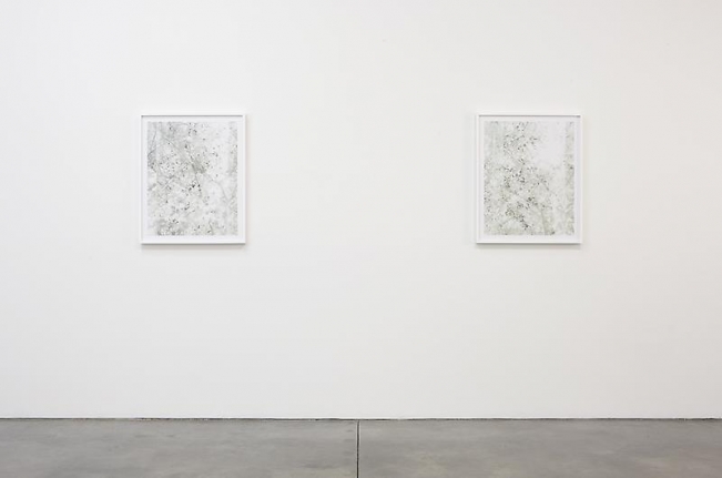 Luisa Lambri Certain Variables