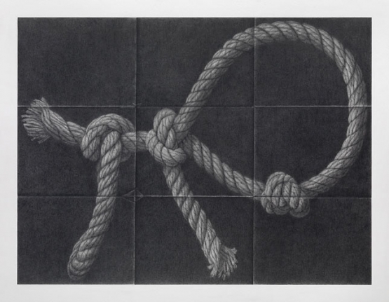 David Musgrave Rope animal, 2008