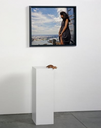 Janine Antoni Conduit, 2009