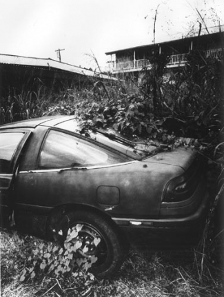 Daido Moriyama Hawaii, 2007/2010