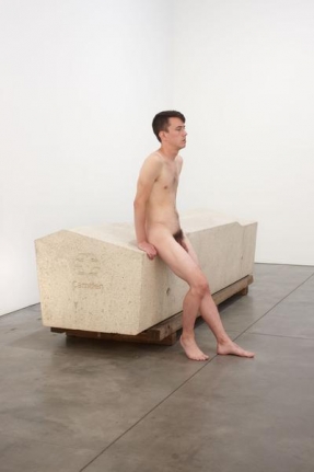Roger Hiorns Untitled (Security Object), 2013