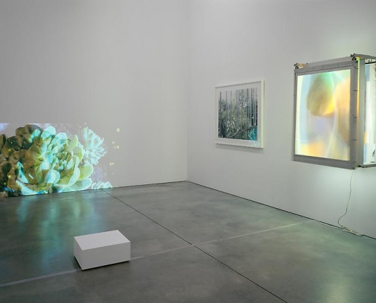 Twenty Five Installation view