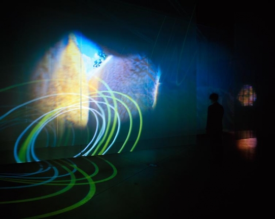 Pipilotti Rist Layers Mama Layers, 2010