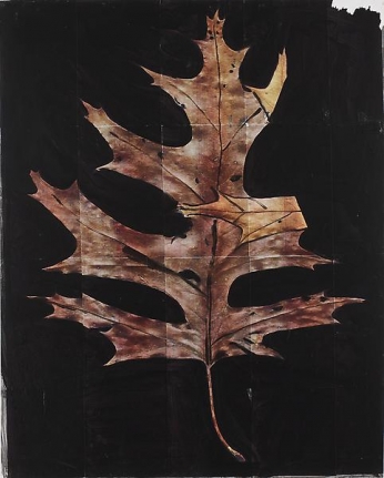 Josh Smith Untitled, 2010