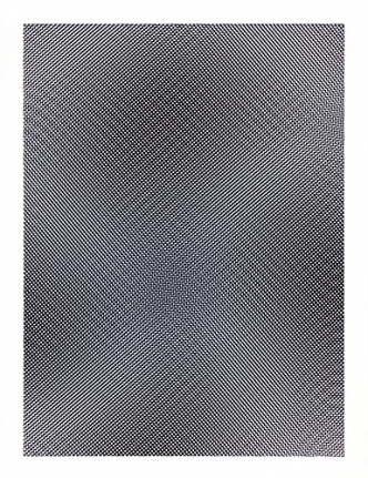 Liz Deschenes Moire #14, 2007