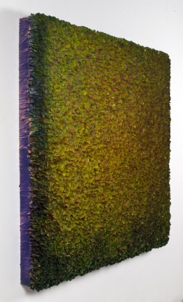 Untitled 52