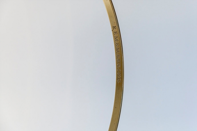 Dane Mitchell, Biennale of Sydney