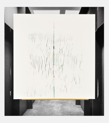 Carlos Bunga, Christopher Grimes Gallery