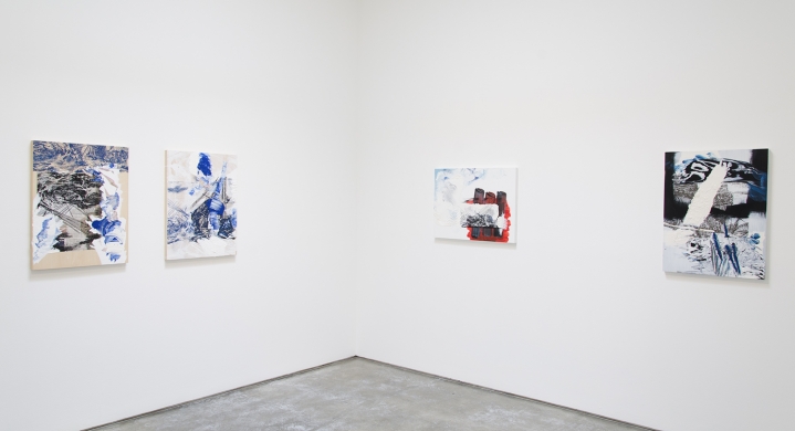 Pia Fries, Christopher Grimes Gallery