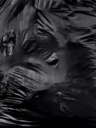 Ester Partegás, Christoper Grimes Gallery
