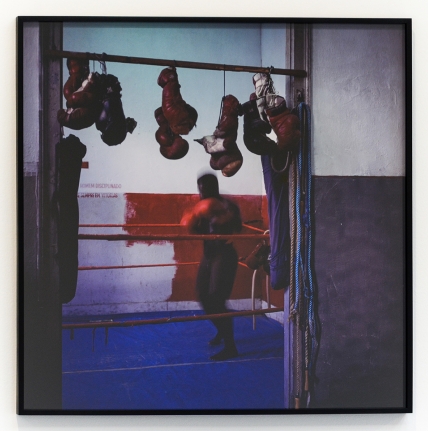 Miguel Rio Branco, Christopher Grimes Gallery