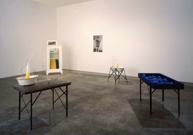 David Ireland, Christopher Grimes Gallery