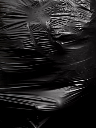 Ester Partegás, Christoper Grimes Gallery