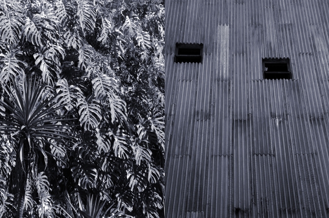 Veronika Kellndorfer, Christopher Grimes Gallery