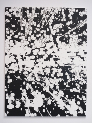 Scott Short, Christopher Grimes Gallery