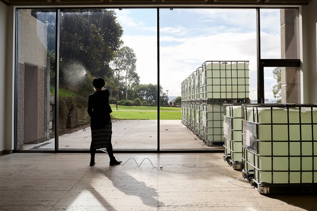 Dane Mitchell, Biennale of Sydney