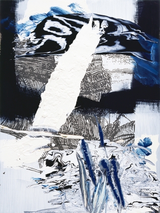 Pia Fries, Christopher Grimes Gallery