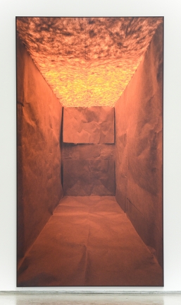 Lucia Koch, ARCO Madrid