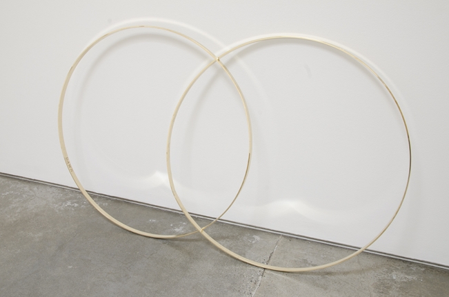 Dane Mitchell, Christopher Grimes Gallery
