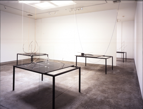 Waltercio Caldas, Christopher Grimes Gallery