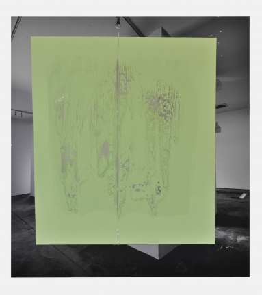 Carlos Bunga, Christopher Grimes Gallery