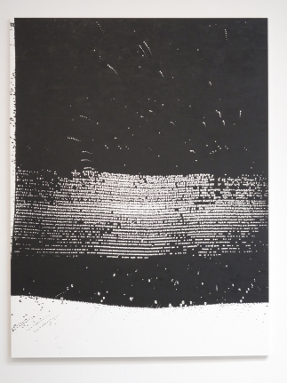 Scott Short, Christopher Grimes Gallery