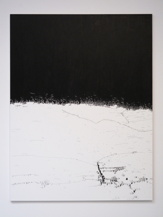 Scott Short, Christopher Grimes Gallery