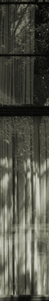 Veronika Kellndorfer, Christopher Grimes Gallery
