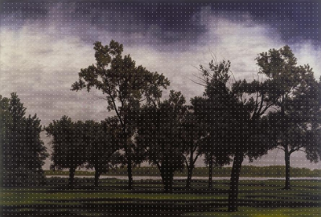 Untitled, 2006 Oil on canvas