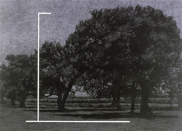 Untitled, 2003 Graphite on paper